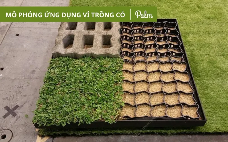 Vỉ Trồng Cỏ Chịu Lực | Tất Tần Tật Về Lợi Ích, Ứng Dụng Và Cách Lắp Đặt